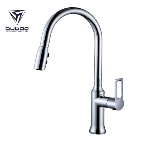 OUBAO High Arch Kitchen Faucet With Pull Out Spray Head For Kitchen Sink