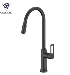 OUBAO Black Farmhouse Kitchen Faucet With Separate Sprayer