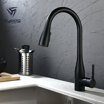 OUBAO Single Hole Pull Down Kitchen Faucet Sanitary Wares