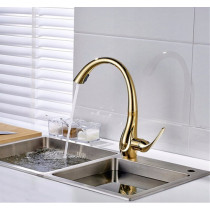 OUBAO Gold Kitchen Faucet with Pull Down Sprayer Gooseneck