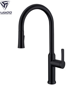 OUBAO Kitchen Water Faucet with Pull down Sparyer High Arc