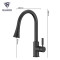Pull Out Sprayer Kitchen Faucets Kitchen Sink Taps Faucet Popular Style