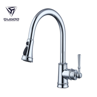 OUBAO One Handle Kitchen Sink Faucet With Sprayer Brushed Nickel