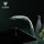 OUBAO Bathroom Basin Taps | Brass Single Handle Basin Faucet | Basin Sink Mixer
