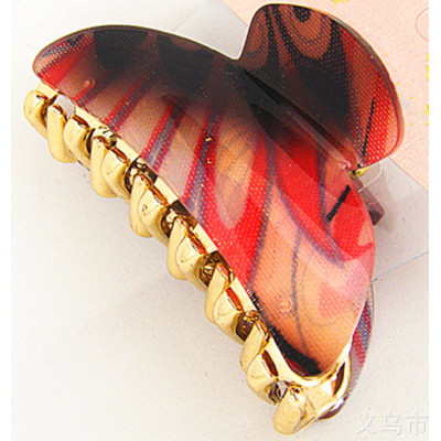 Acrylic Hair Claw Clips