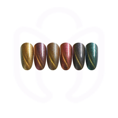 CHAMELEON CAT EYE luxury nail art gel polish in bulk package