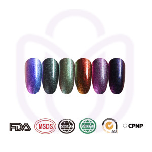 CHAMELEON GEL luxury gel polish for professional nail artist and nail salon
