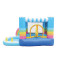 NT-62112 Inflatable Jumping Bouncy Castle with Prices, Adult Combo House Inflatable Bouncer