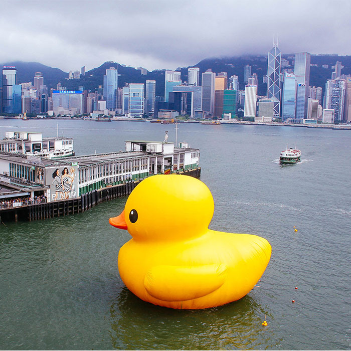 The big yellow duck