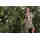 TJ green Floral pattern beachwear
