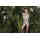 TJ green Floral pattern beachwear