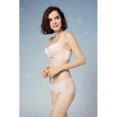 Embriodery Lace Christmas Bra set