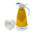 Talking Electric Kettle with Alarm