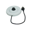 Talking Electric Kettle with Alarm