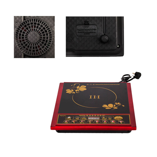 Talking Braille Induction Cooker