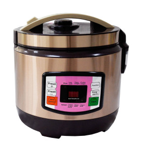 Braille Electric Rice Cooker