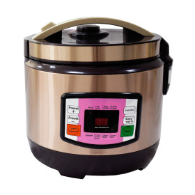 Braille Electric Rice Cooker