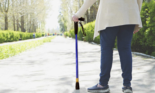 Types of Walking Sticks