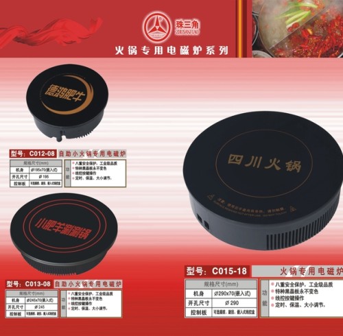 family electric cooker