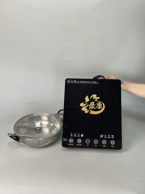 ALK Voice Control Braille Induction cookers