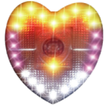 FLK-DS06-1 Voice flash anti-hot electric kettle