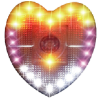 FLK-DS06-1 Voice flash anti-hot electric kettle