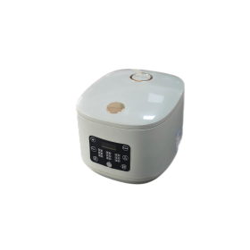 FLK-T65BMY Voice Braille Rrice Cooker With Voice Control