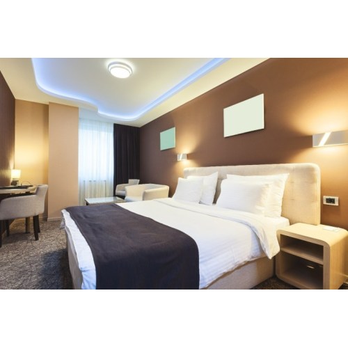 Bugs to Watch Out For in Hotels