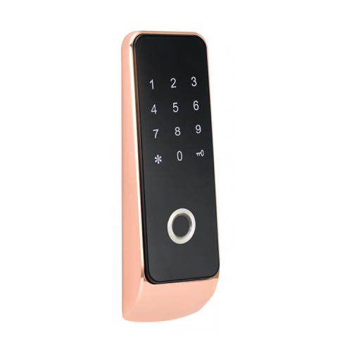 Keypad Code Fingerprint Cabinet Locker Lock With Finger Print Scanner