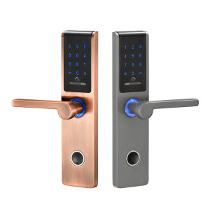 Smart Automatic Door Lock System With Bluetooth And WiFi Wireless Enabled