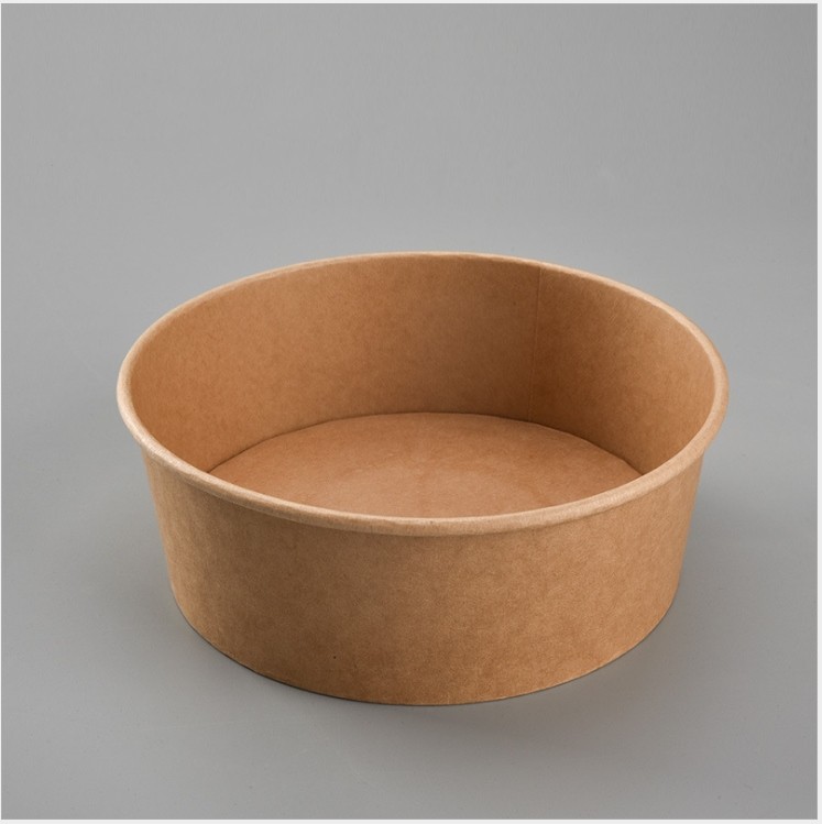 biodegradable bowl