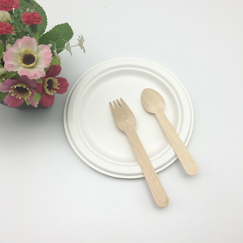 round Sugar cane pulp biodegradable plate