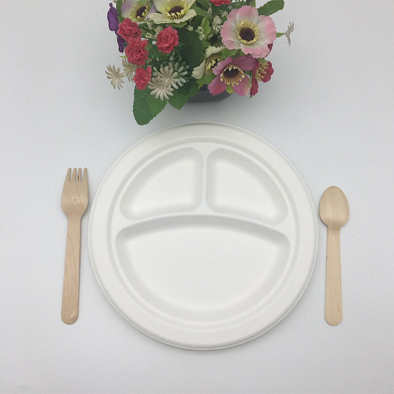 round Sugar cane pulp biodegradable plate