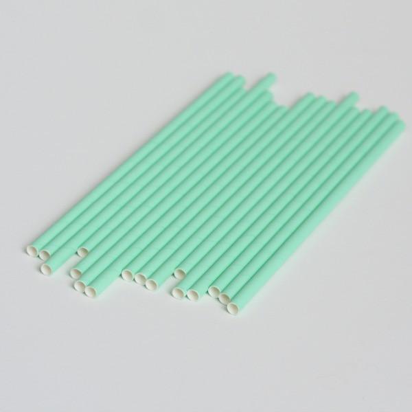 6mm Degradable mint green Paper Straw