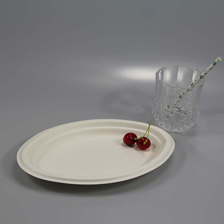 disposable paper plates suppliers