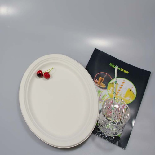 注文のクリスマスの使い捨て可能なテーブルウェアセットの誕生日パーティーの楕円形の紙皿