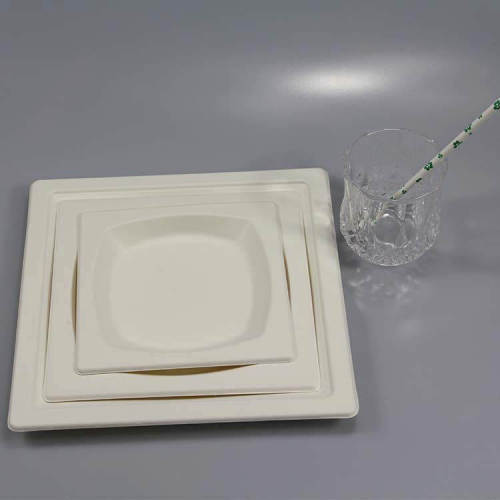 注文のクリスマスの使い捨て可能なテーブルウェアセットの誕生日パーティーの正方形の紙皿