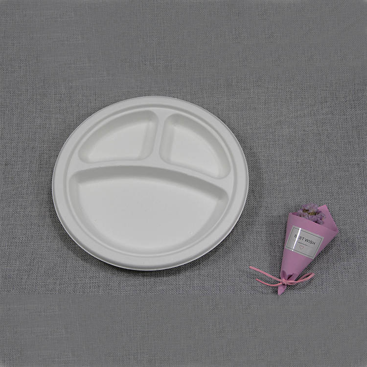 disposable paper plates suppliers