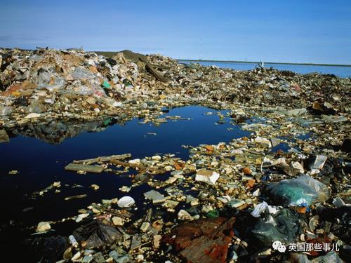 プラスチックの排出量を削減するために、行動を起こしています。