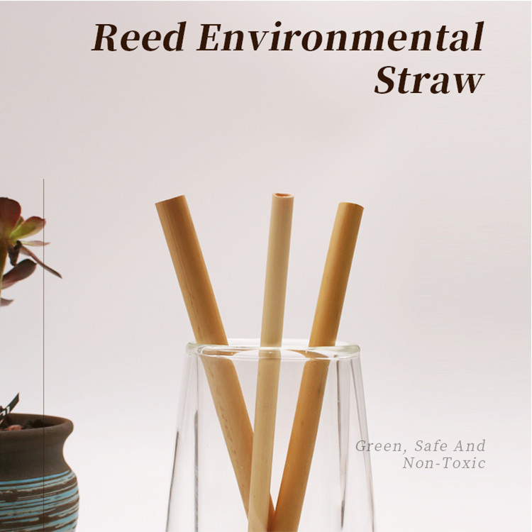 Reed Straws