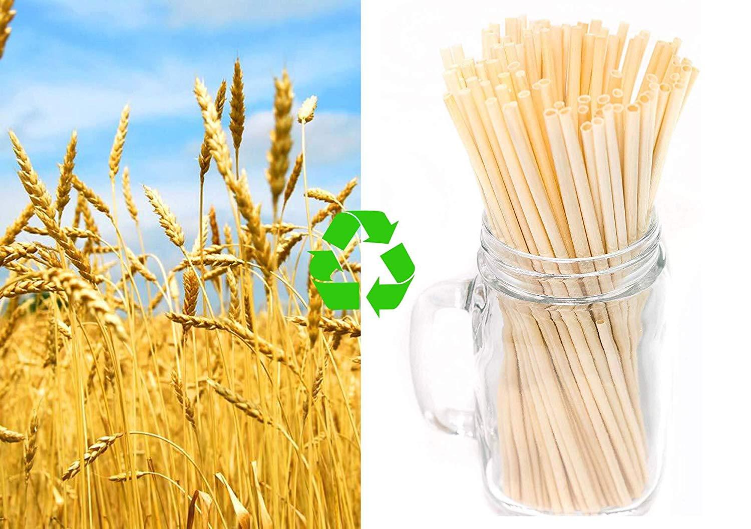 What is the nutritional value and use of wheat straws?