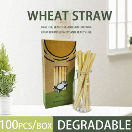 100% Biodegradable Natural Material Compostable Reed Straw