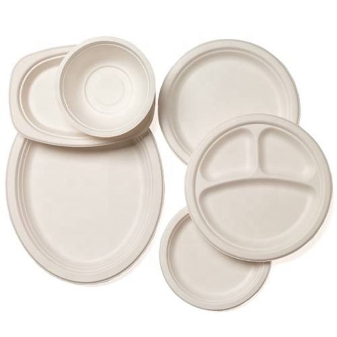 SUGARCANE BAGASSE PULP PAPER PLATE