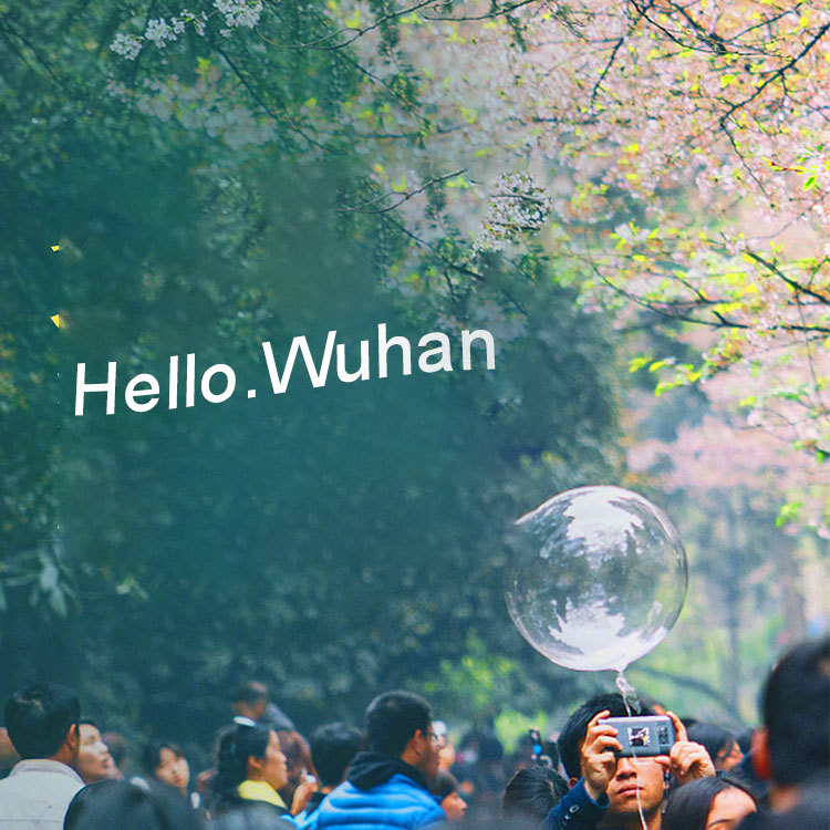 Hello，Wuhan