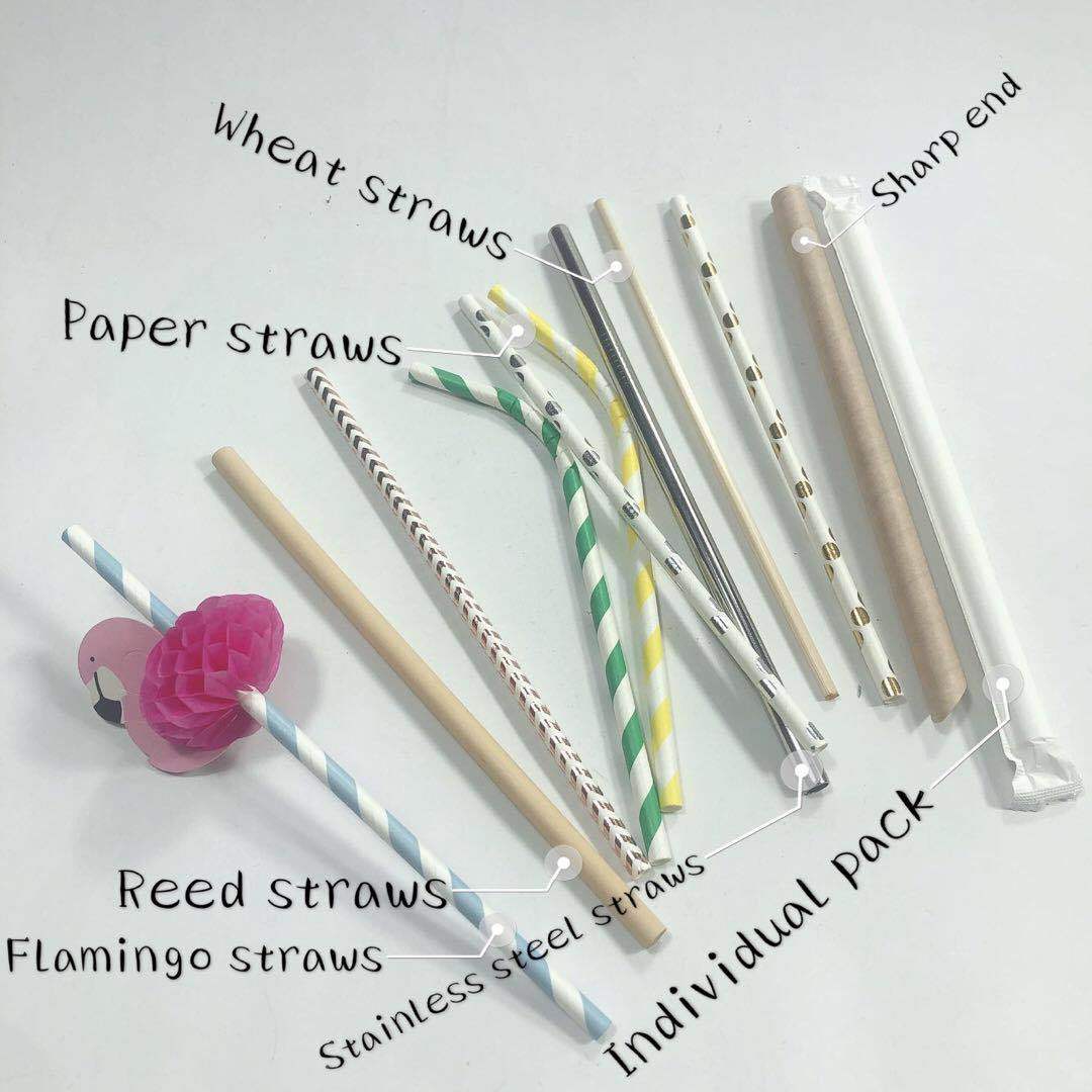 dissposable eco straws