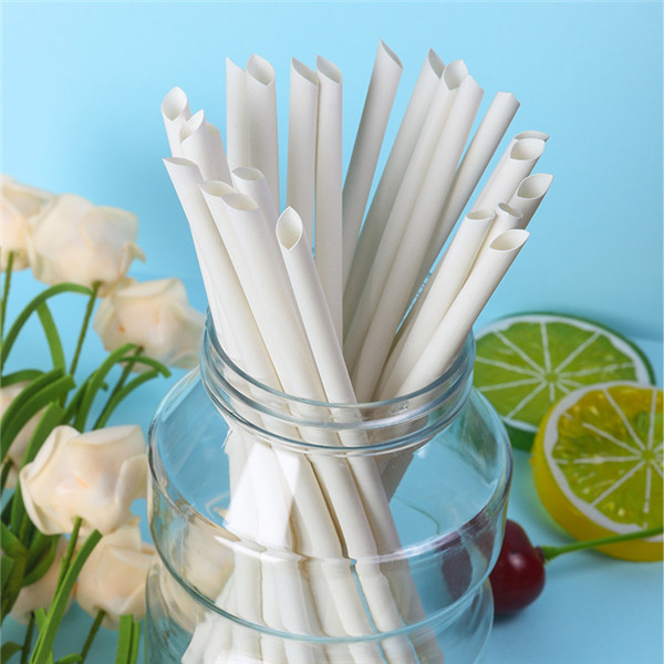 New Product-Bamboo Fiber Straws