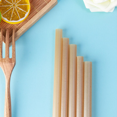 Compostable fiber biodegradable bagasse sugarcane sugar cane straws