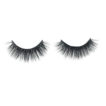 Plastic Boxes Sample Natural Eyelashes Human Hair Mink Lashes With Eyelash Tool
