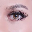 10 Pairs Lower Under Bottom False Eyelashes Eye Lashes Extension Different Style