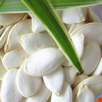 Cheap hulled snow white pumpkin seed kernels wholesale